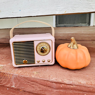 Mini Bluetooth Speaker