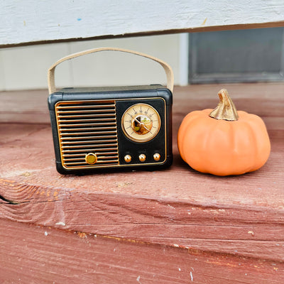 Mini Bluetooth Speaker