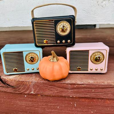 Mini Bluetooth Speaker