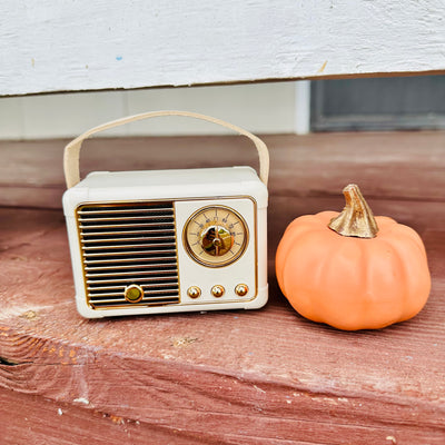 Mini Bluetooth Speaker