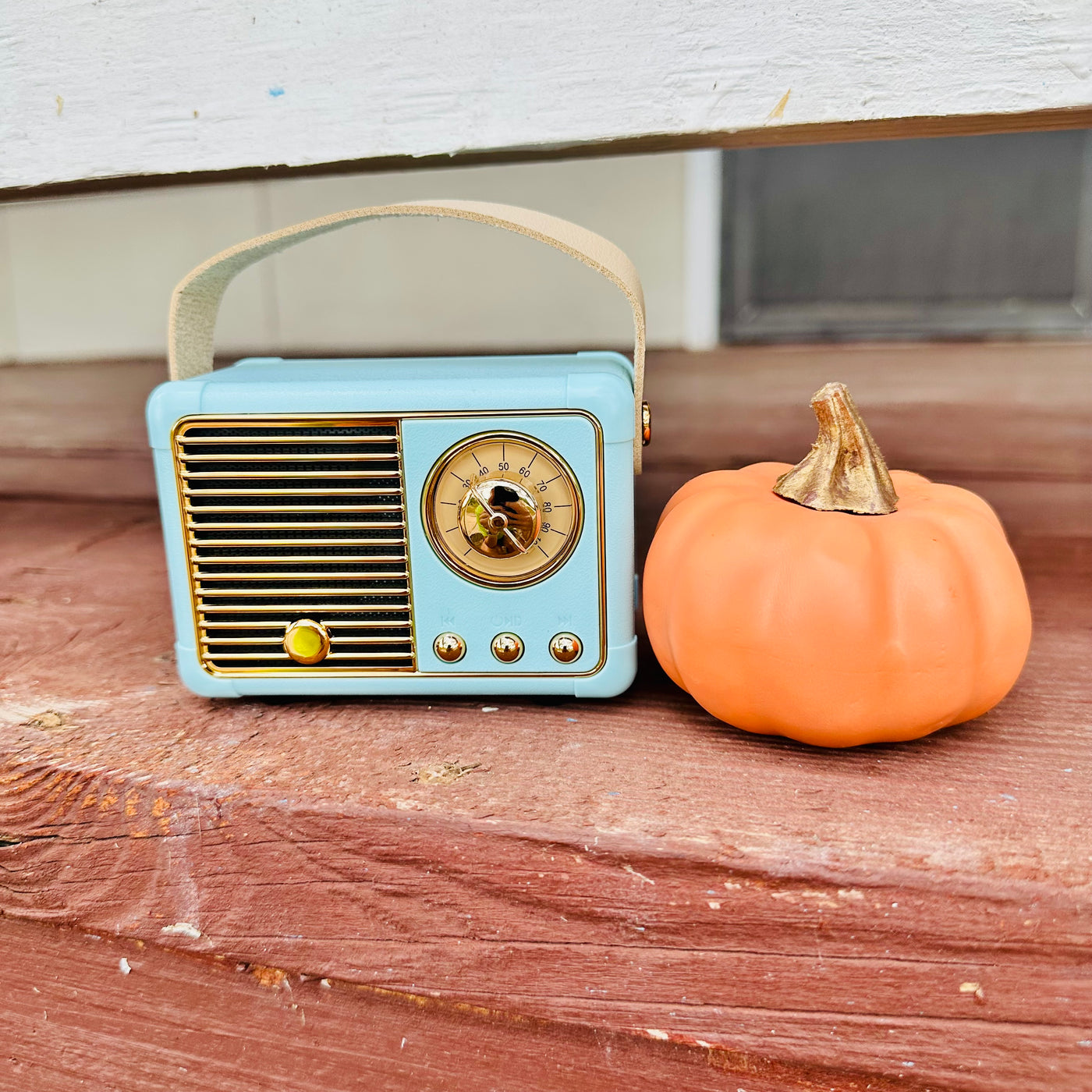 Mini Bluetooth Speaker