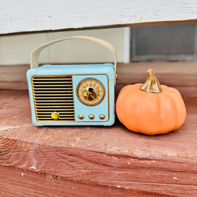 Mini Bluetooth Speaker